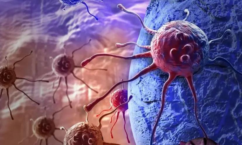 যে জীবে ক্যান্সার নেই